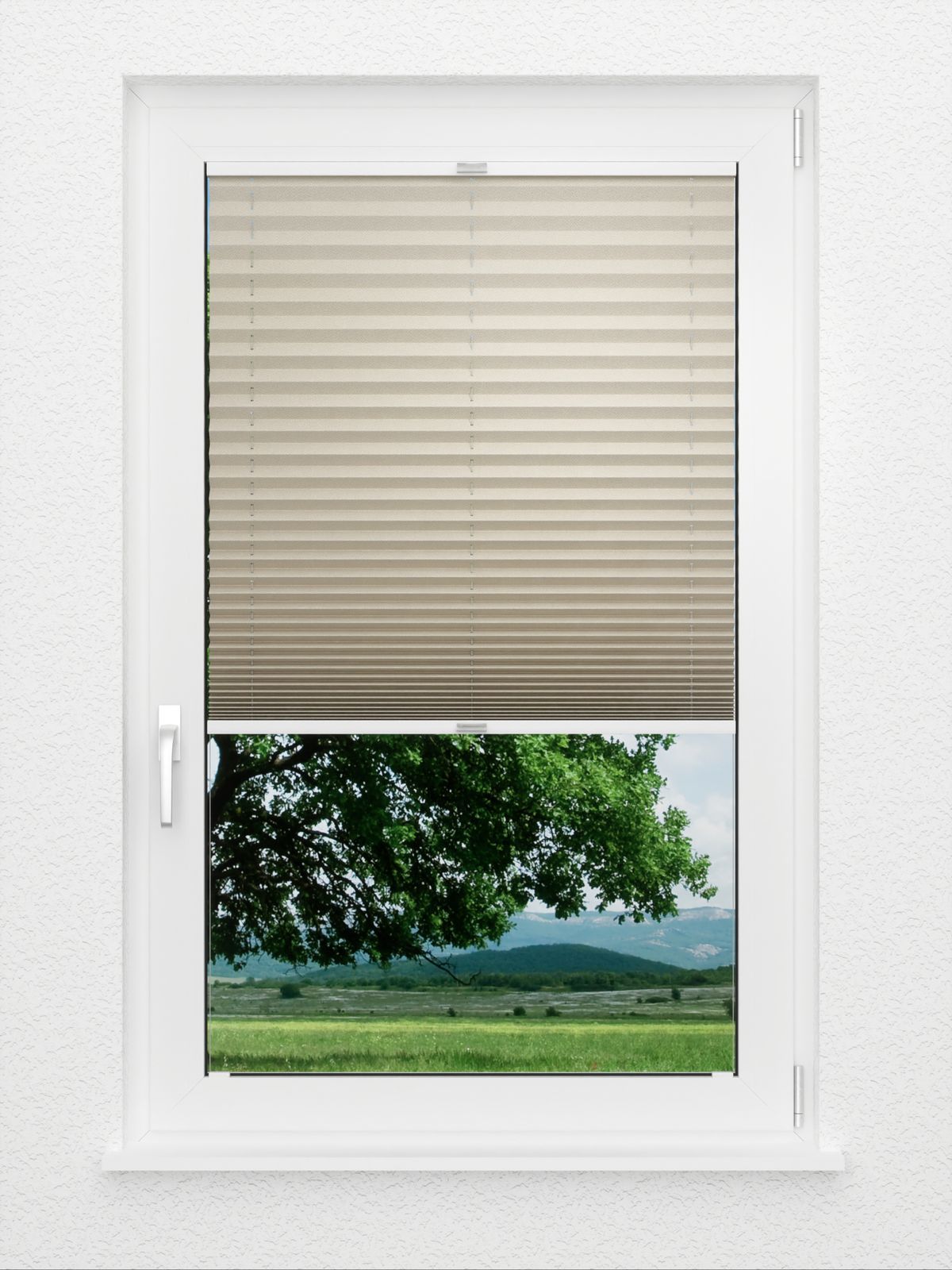 Detailansicht Plissee Color Krepp 1323vs