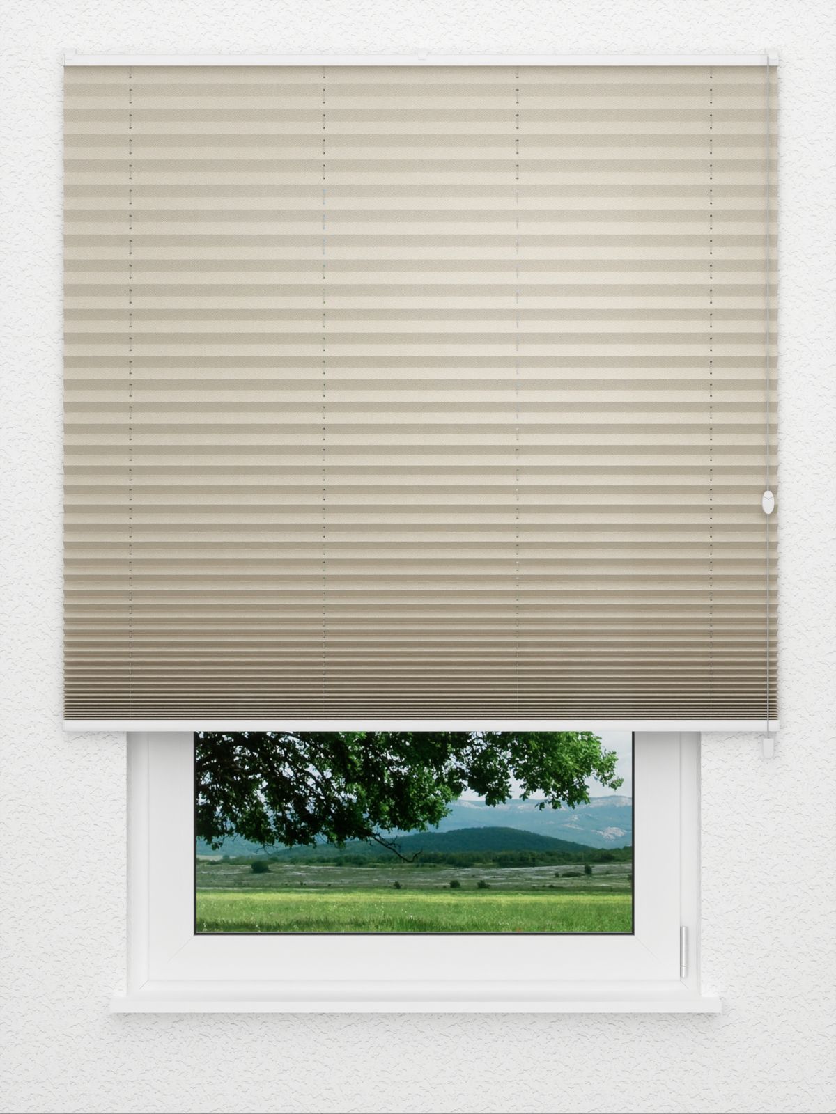 Detailansicht Plissee Color Krepp 1323vs