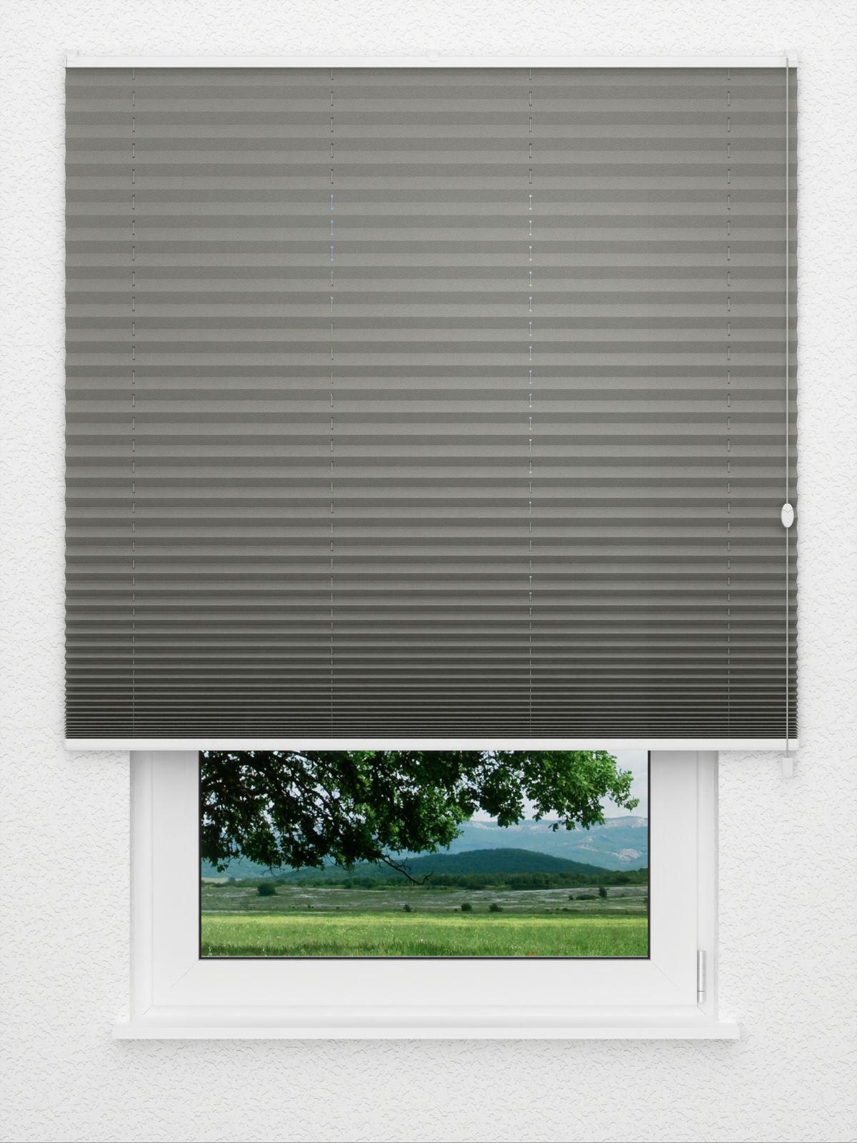 Detailansicht Plissee Color Krepp 1325vs