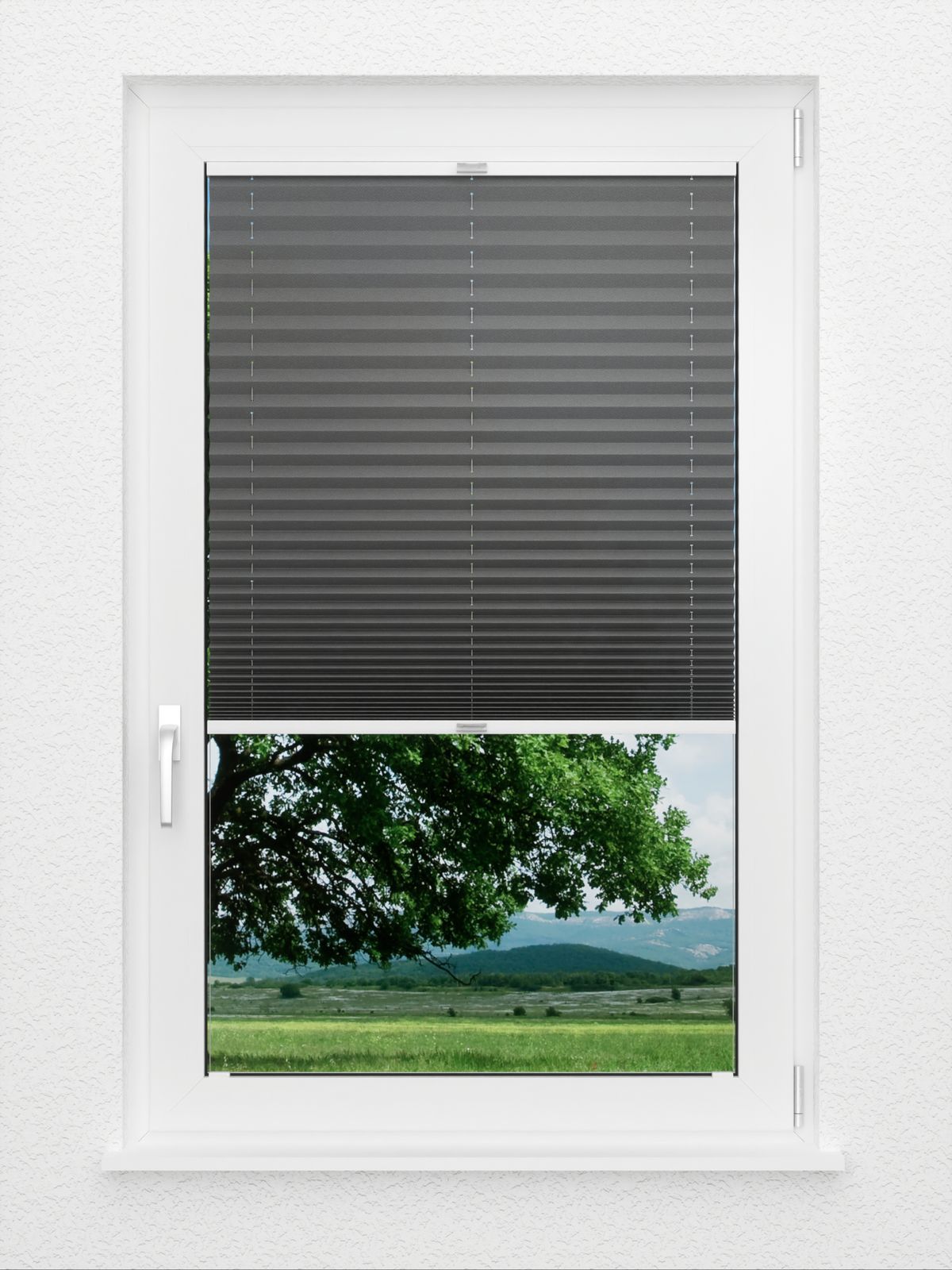 Detailansicht Plissee Color Krepp 1326vs