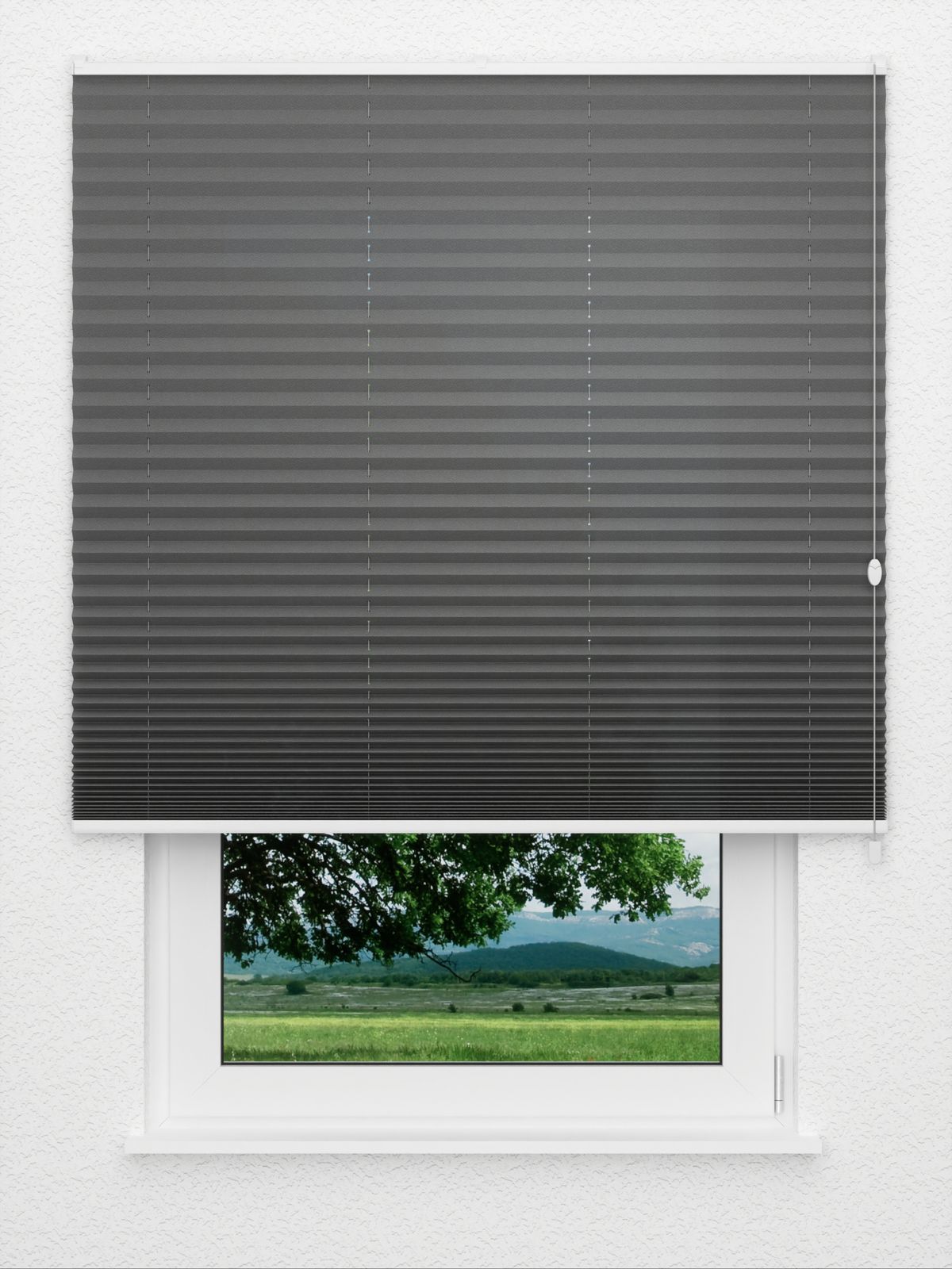 Detailansicht Plissee Color Krepp 1326vs