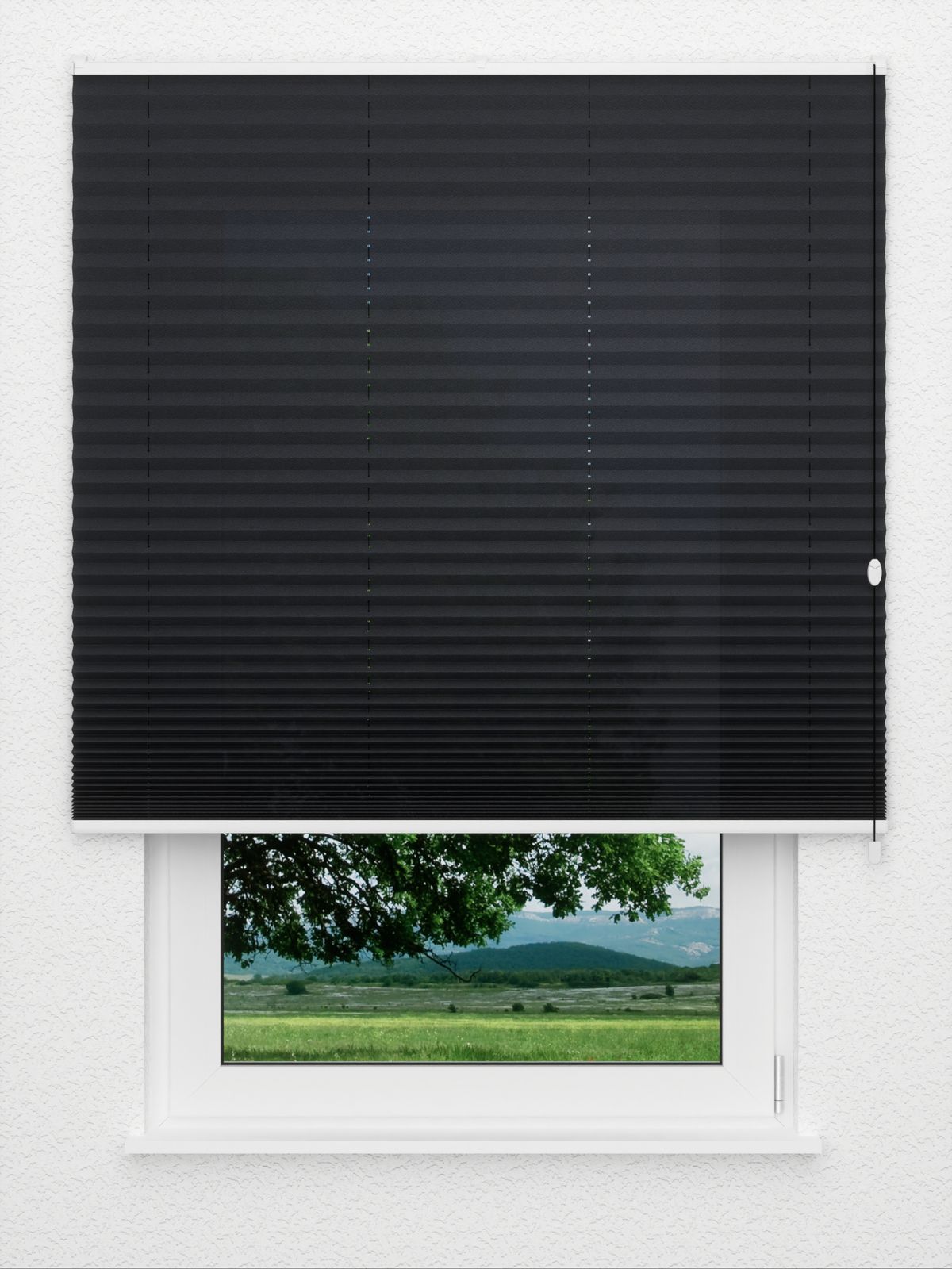 Detailansicht Plissee Color Krepp 1327vs