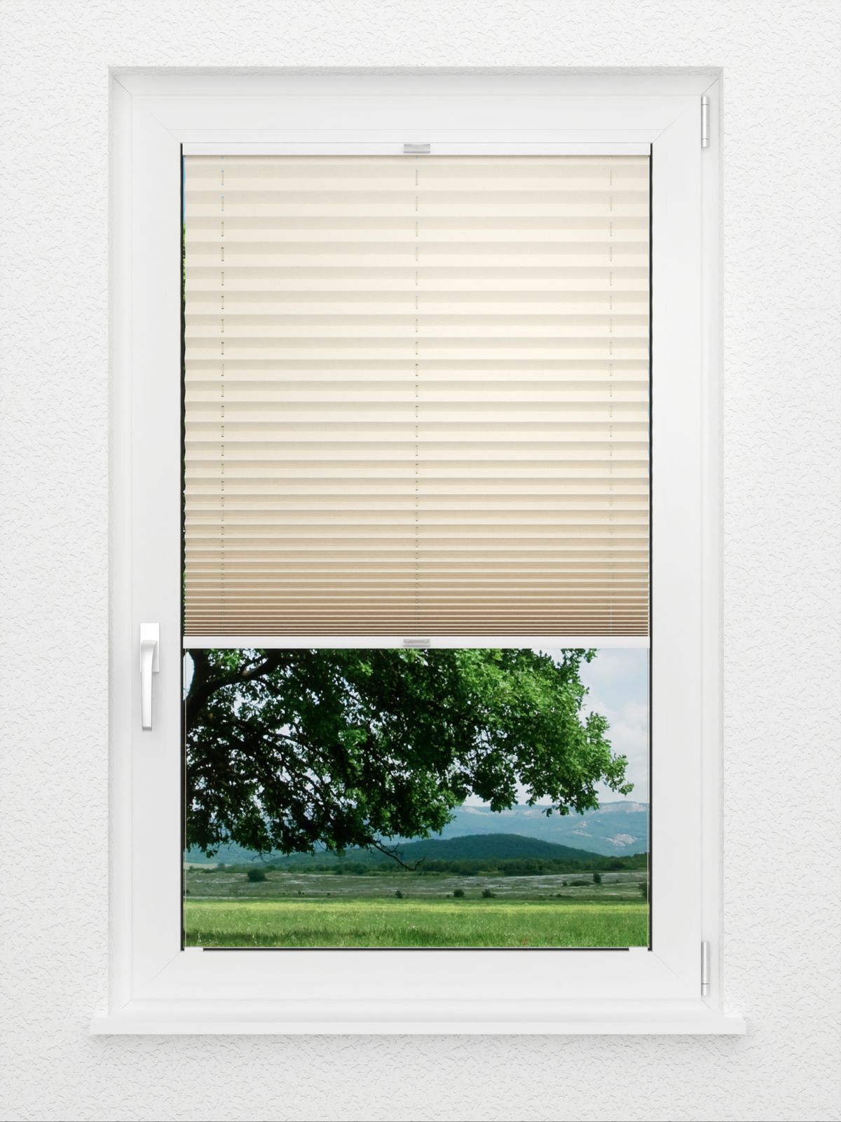 Detailansicht Plissee Color Krepp Reflex 755vs