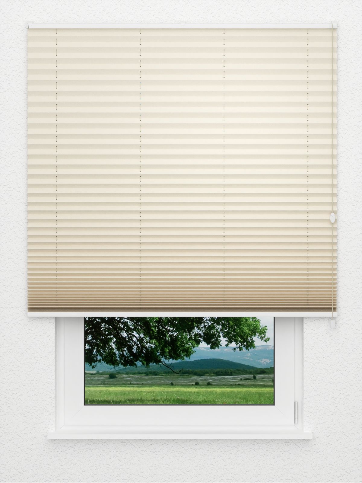 Detailansicht Plissee Color Krepp Reflex 755vs