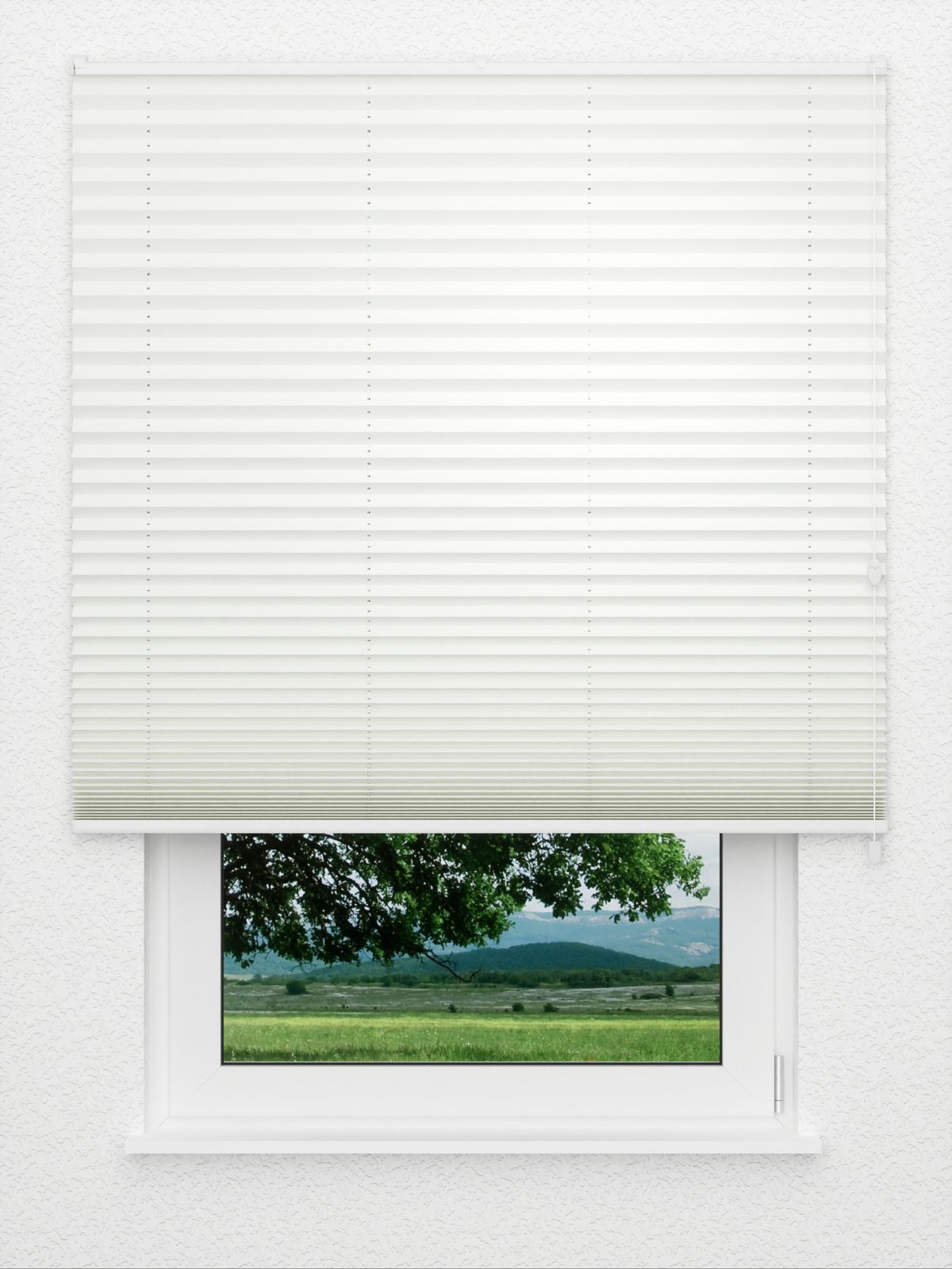 Detailansicht Plissee Color Krepp Reflex 739vs