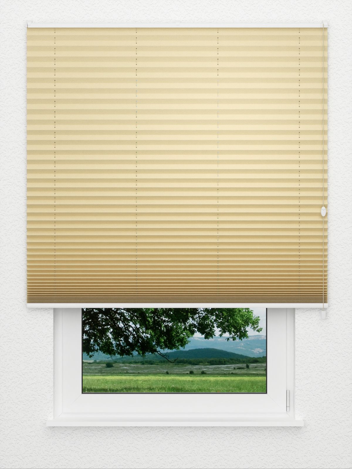 Detailansicht Plissee Color Krepp 161vs