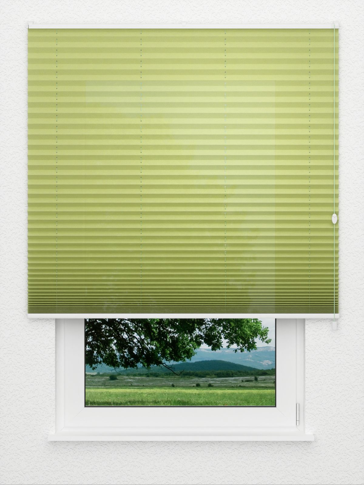 Detailansicht Plissee Color Krepp 166vs
