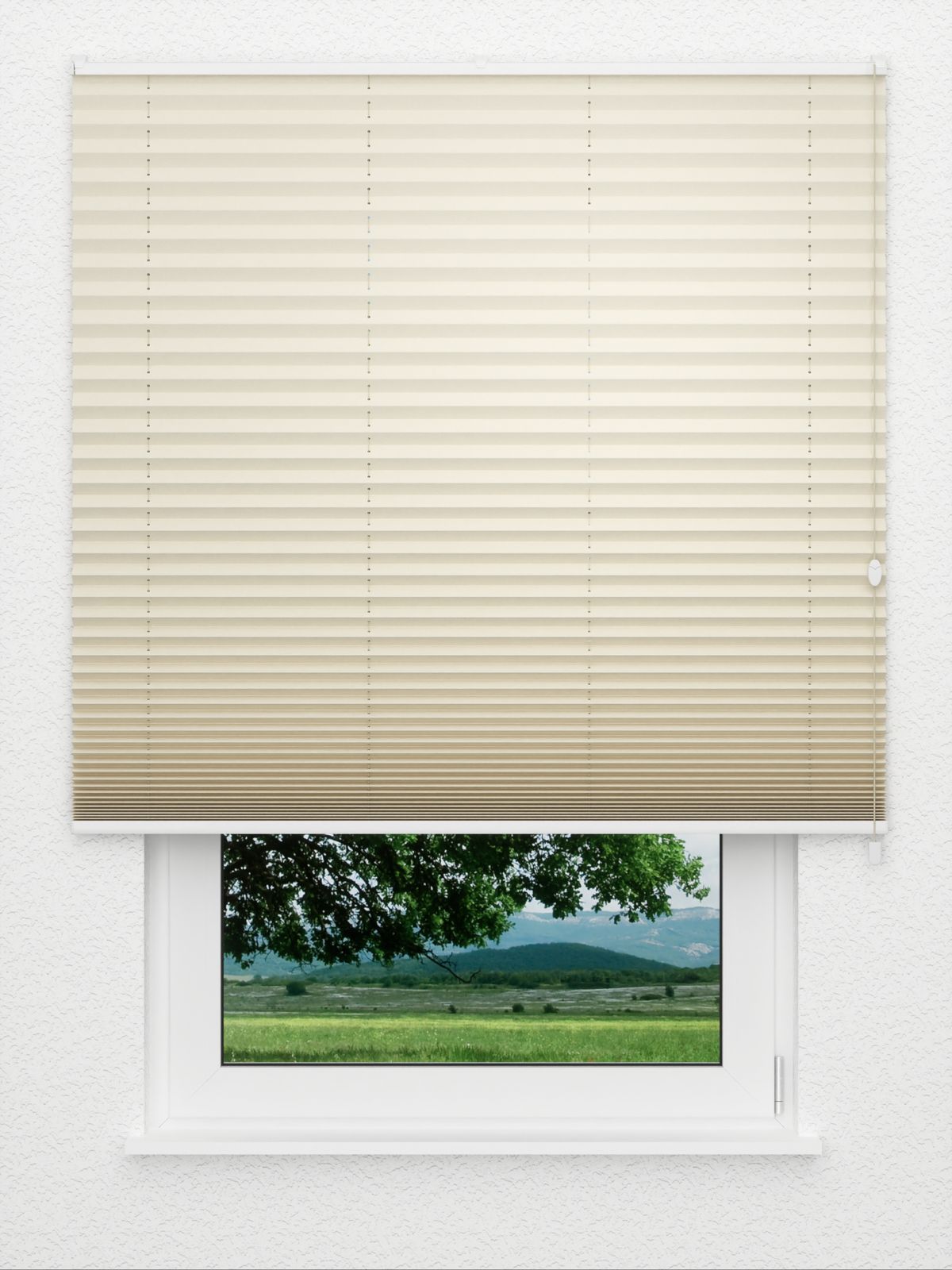 Detailansicht Plissee Color Krepp 1321vs