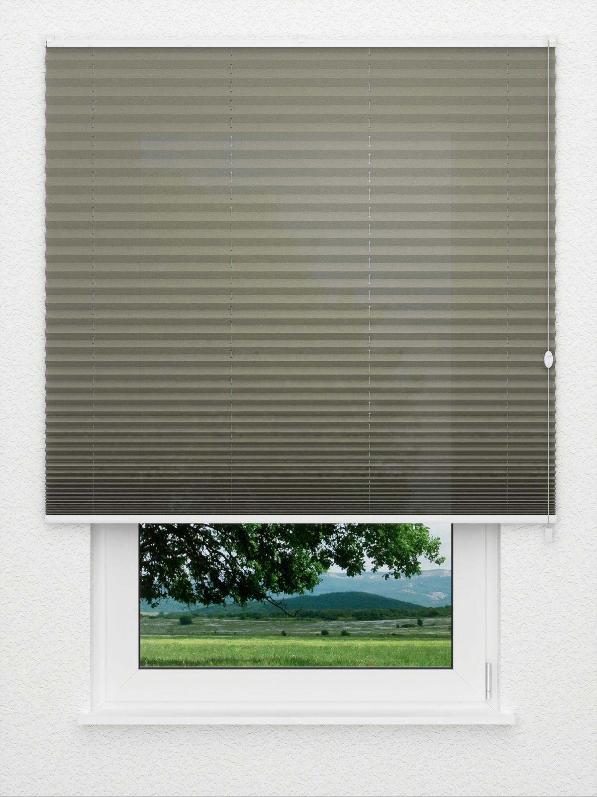 Detailansicht Plissee Color Krepp 171vs