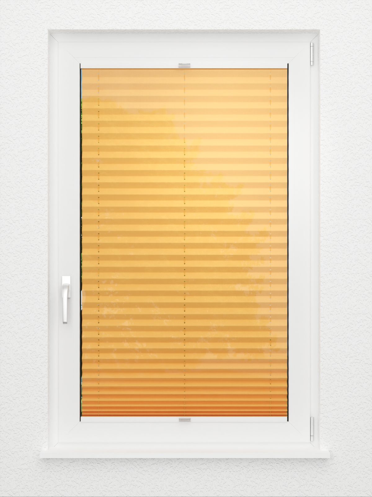 Detailansicht Bacca 1063vs