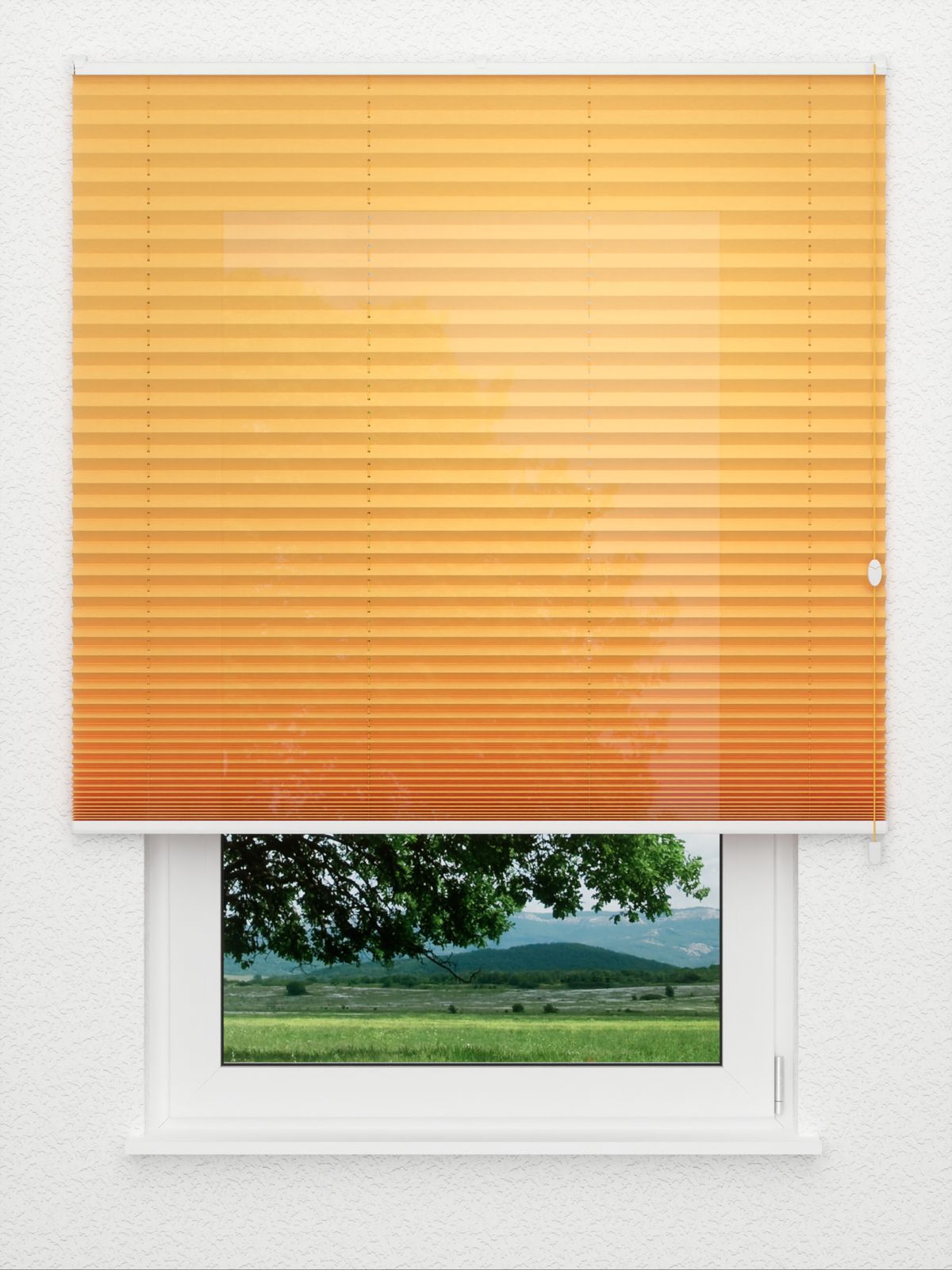 Detailansicht Bacca 1063vs