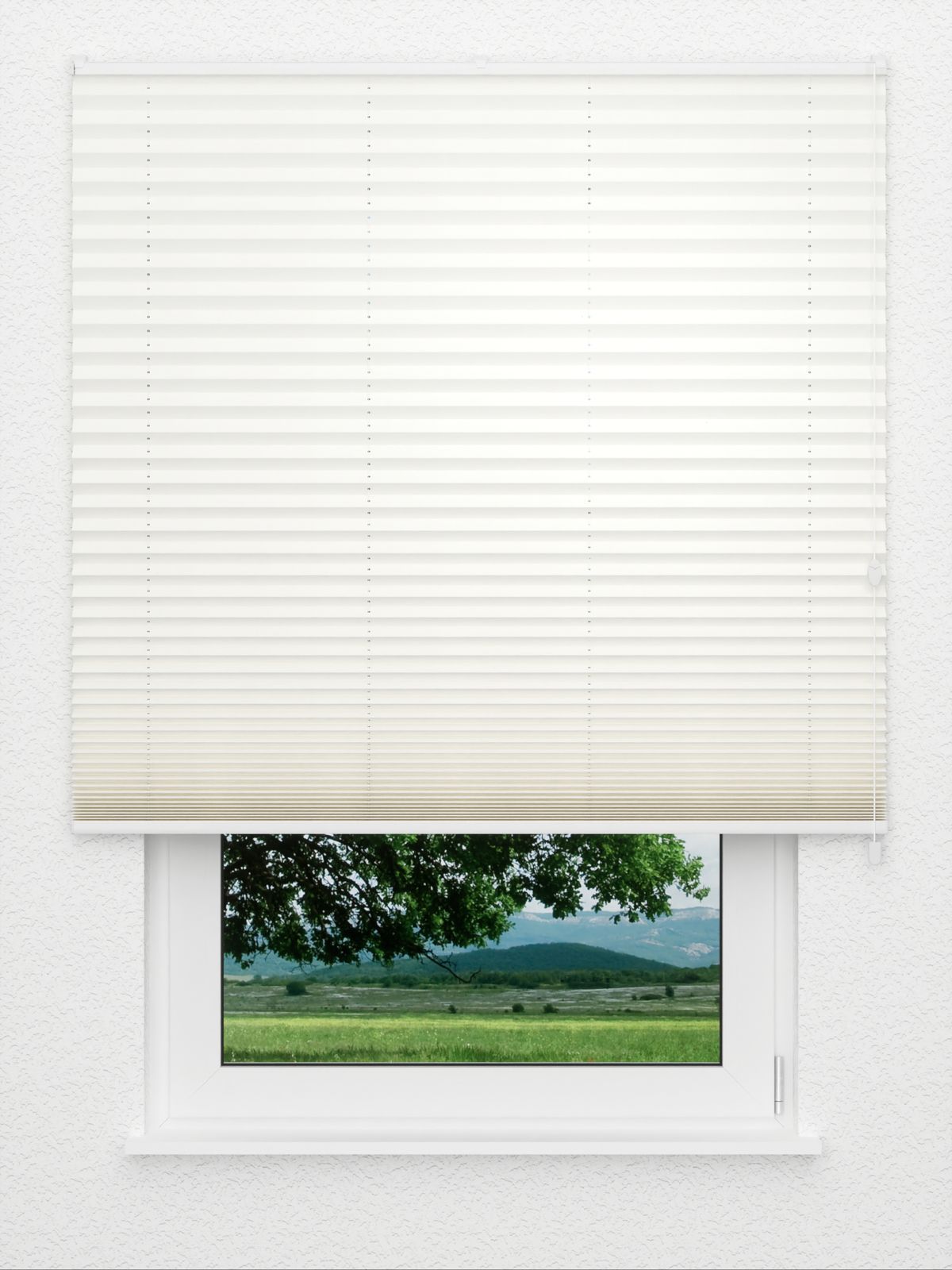 Detailansicht Tay 1028vs