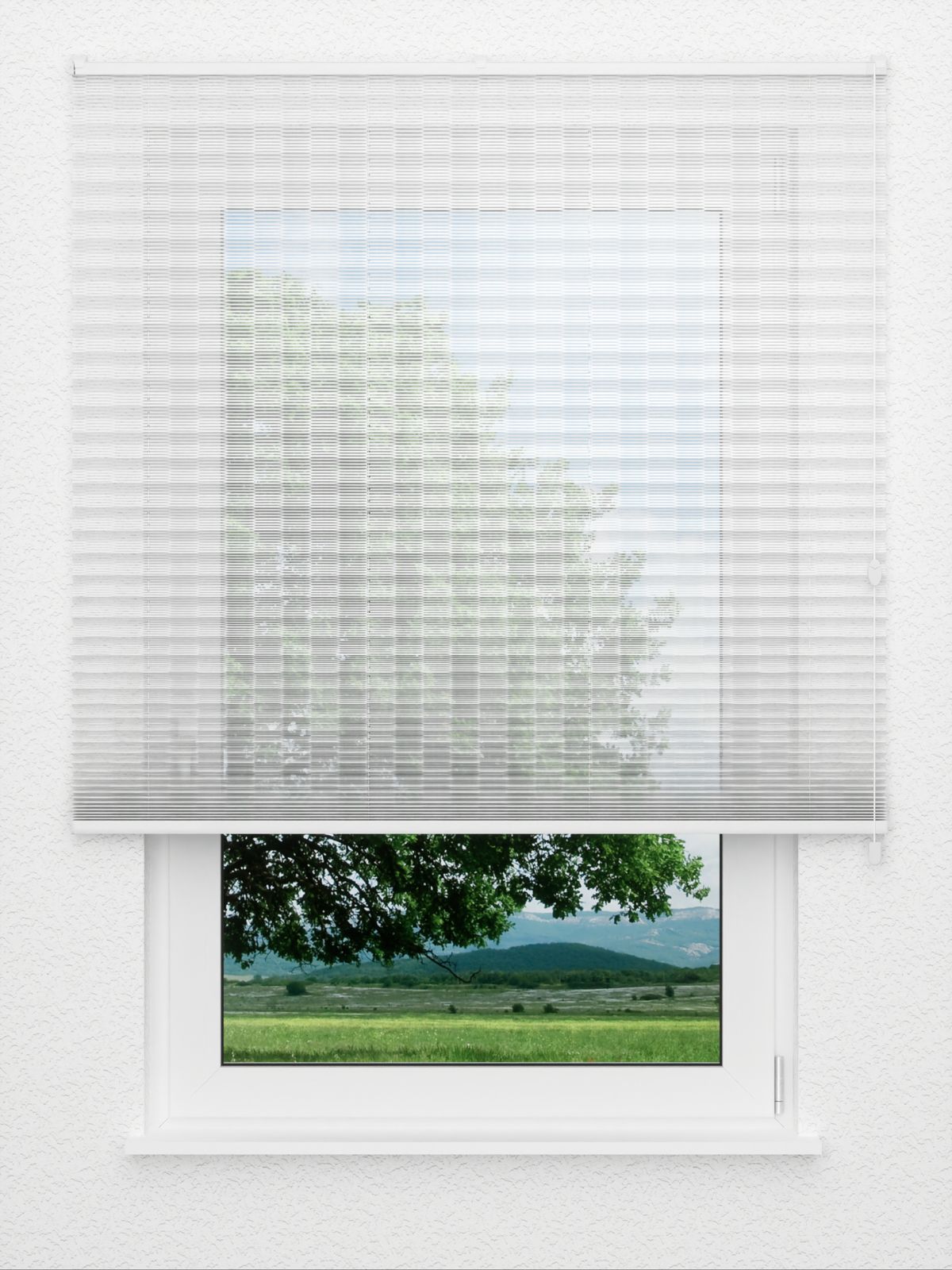 Detailansicht Plissee Amounts 214vs