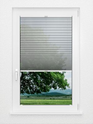 Preview Plissee Artic Light B1 1223vs 1