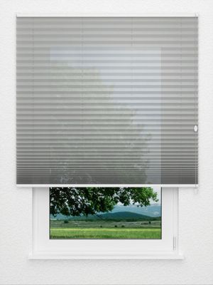 Preview Plissee Artic Light B1 1223vs 3