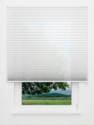Preview Plissee Artic Light B1 1227vs 3