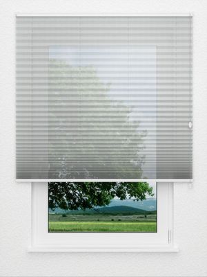 Preview Plissee Shadow 817vs 3