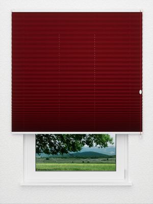 Preview Plissee Oregon VD 421vs 3