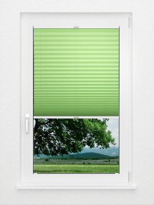 Preview Plissee Oregon VD 409vs 1