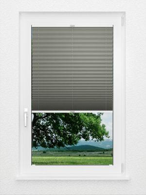 Preview Plissee Daynight 176vs 1
