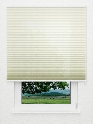 Preview Plissee Open-air 002vs 3