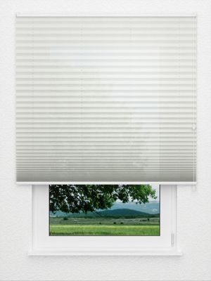Preview Plissee Open-air 003vs 3