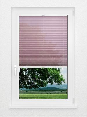 Preview Capo 1017vs 1