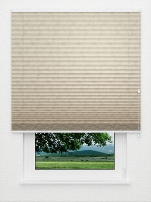 Preview Plissee Mirebothe 1250vs 3