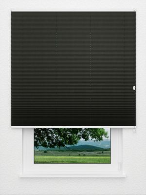 Preview Grain 1074vs 3