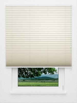Preview Plissee Krepp B1 1470vs 3