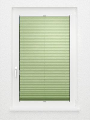 Preview Plissee Pleat 1085vs 2