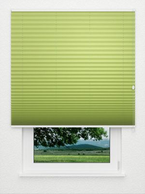 Preview Plissee Color Krepp Reflex 757vs 3