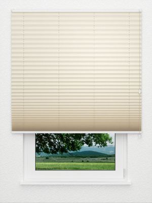 Preview Plissee Color Krepp Reflex 755vs 3