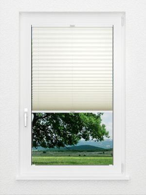 Preview Plissee Color Krepp Reflex 756vs 1