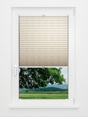 Preview Plissee Planks 638vs 1