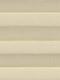 Kakasa 81.866 Kakasa 81.866